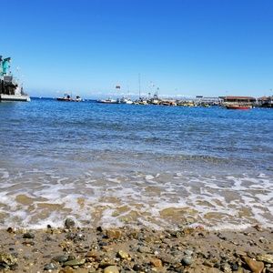 Meet your Posher, Beatrice